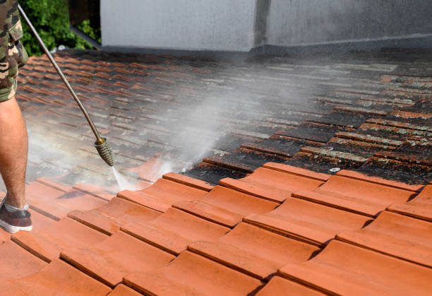 Pressure Washing Brick in Potomac Park, CA